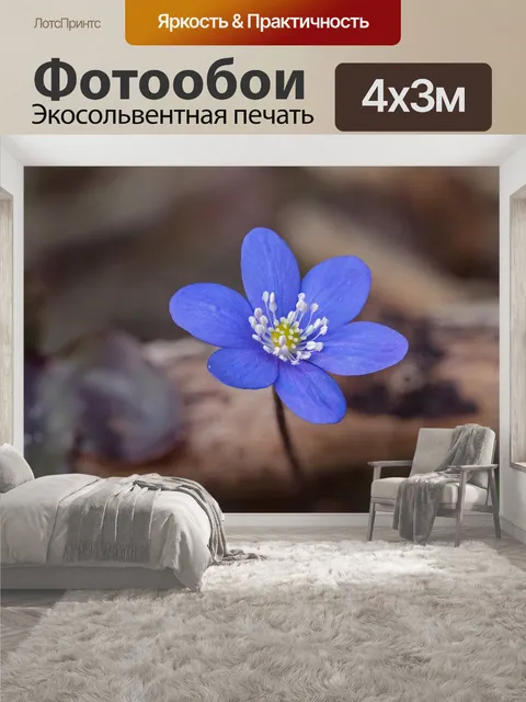 400 × 300 см · Экосольвентная печать