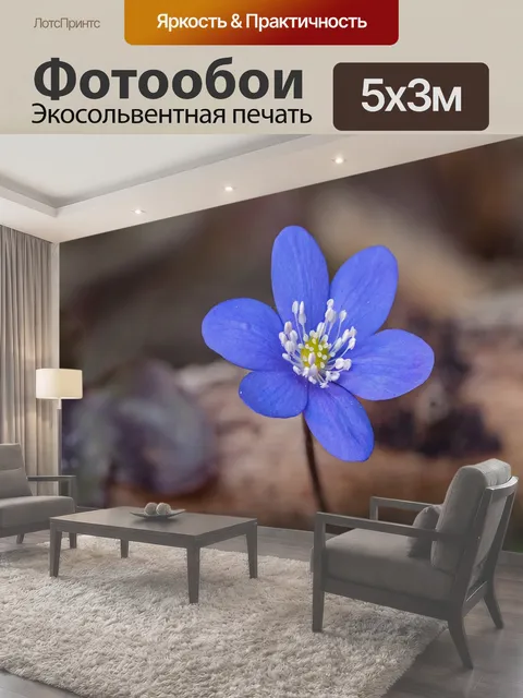500 × 300 см · Экосольвентная печать