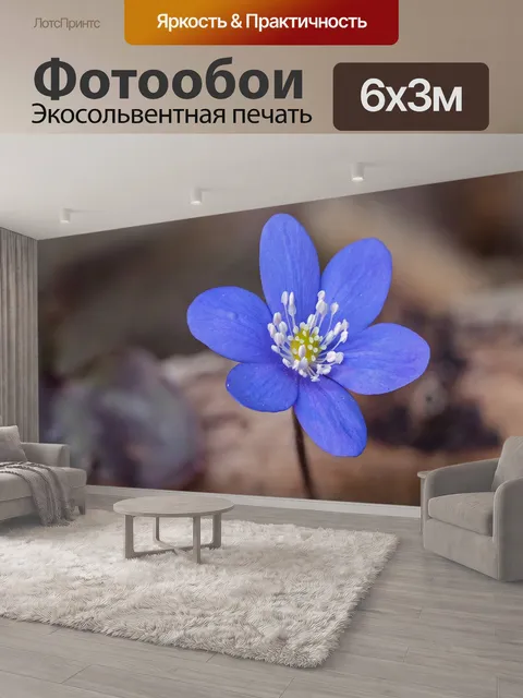 600 × 300 см · Экосольвентная печать