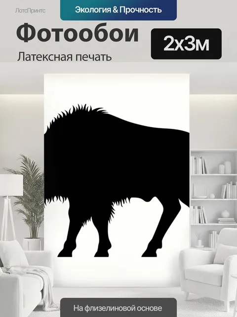 200 × 300 см · Латексная печать
