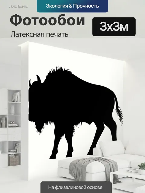 300 × 300 см · Латексная печать
