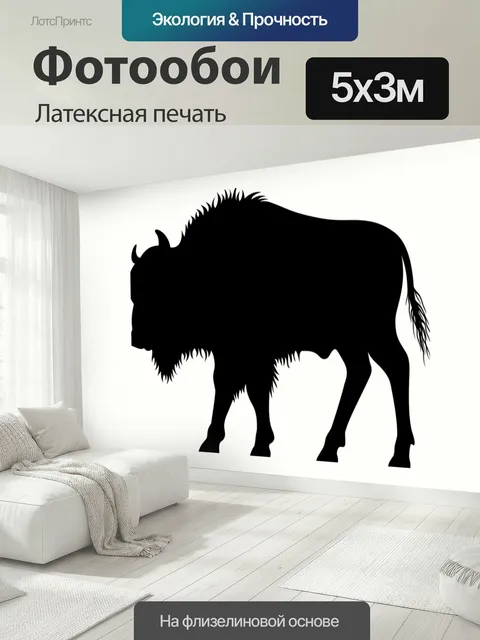500 × 300 см · Латексная печать
