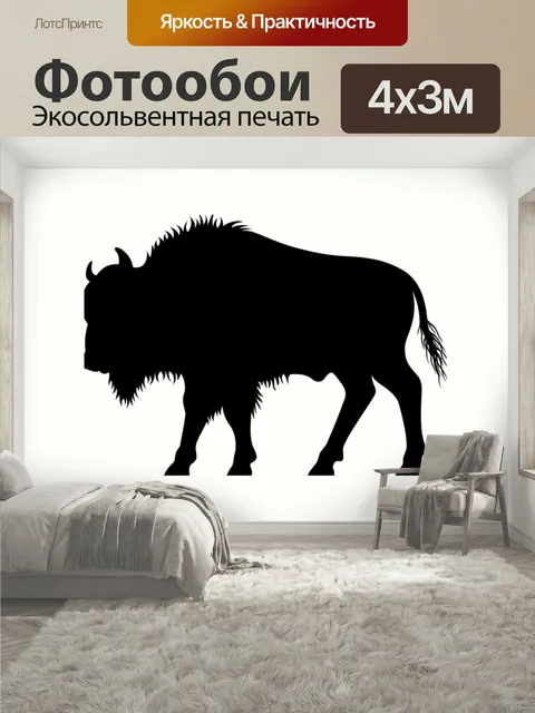 400 × 300 см · Экосольвентная печать