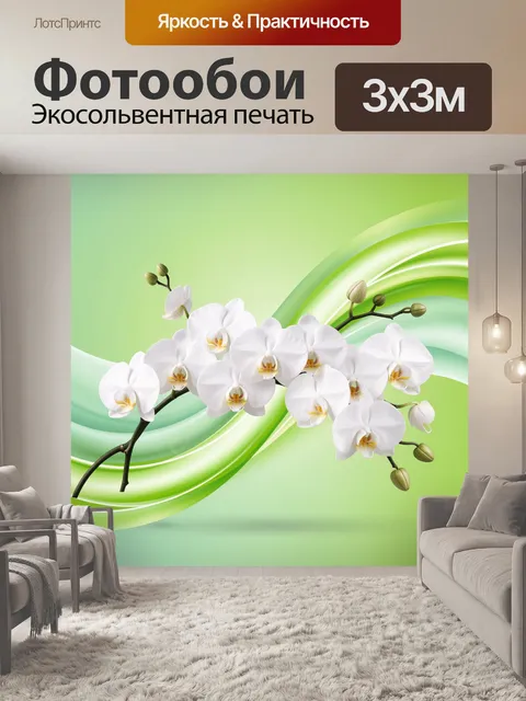 Фотообои Белые орхидеи на зеленом фоне