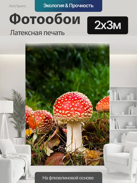 200 × 300 см · Латексная печать