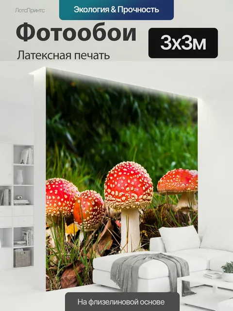 300 × 300 см · Латексная печать