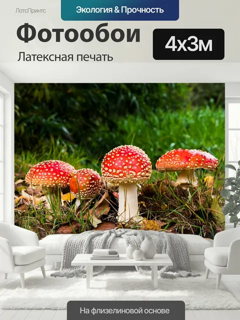 400 × 300 см · Латексная печать