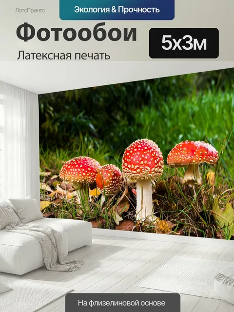 500 × 300 см · Латексная печать