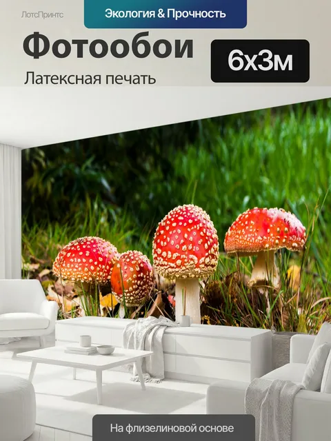 600 × 300 см · Латексная печать