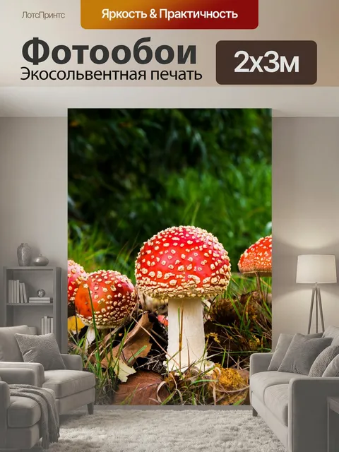 200 × 300 см · Экосольвентная печать