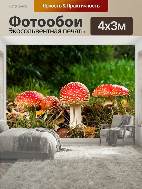 400 × 300 см · Экосольвентная печать