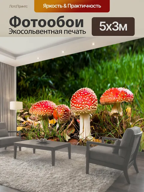 500 × 300 см · Экосольвентная печать