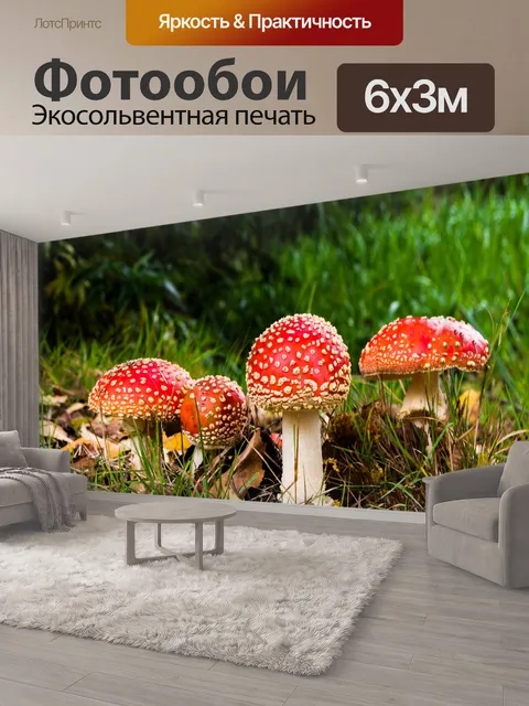 600 × 300 см · Экосольвентная печать