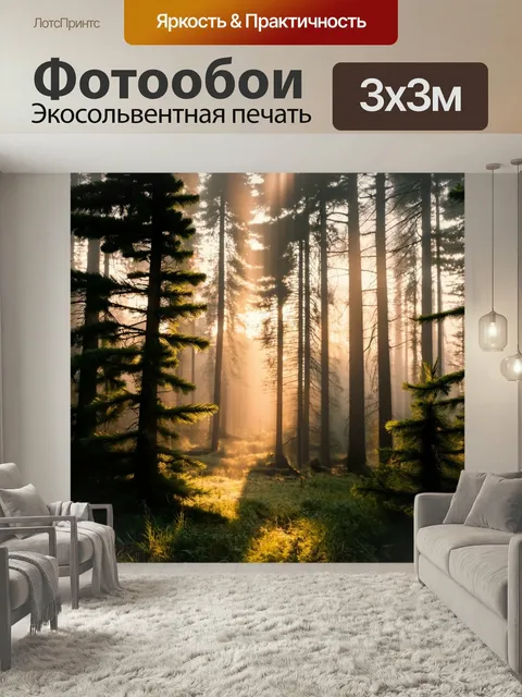 Фотообои Утро: еловый лес, окаймленный утренними туманами, где деревья создают таинственные силуэты на фоне восходящег…