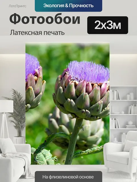 200 × 300 см · Латексная печать