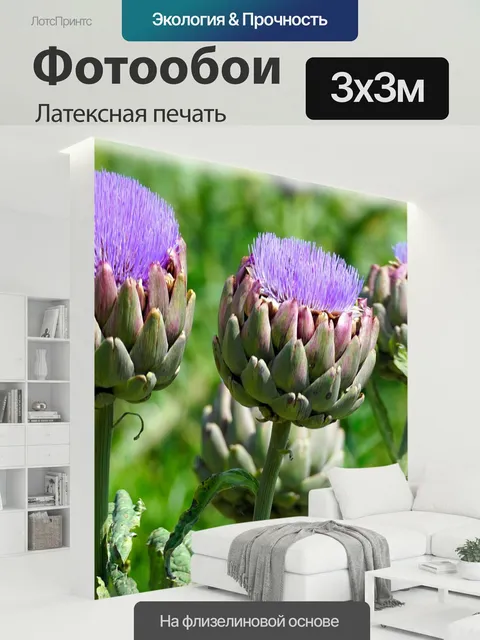 300 × 300 см · Латексная печать