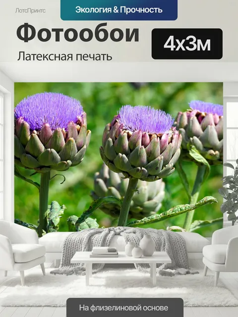 400 × 300 см · Латексная печать