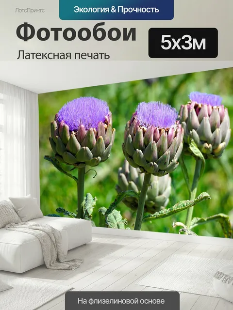 500 × 300 см · Латексная печать