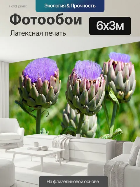 600 × 300 см · Латексная печать