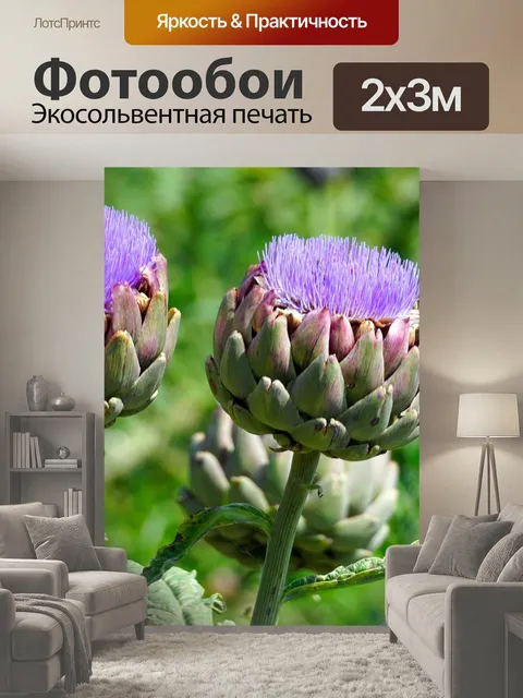 200 × 300 см · Экосольвентная печать