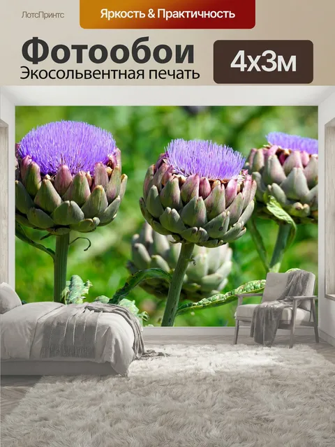 400 × 300 см · Экосольвентная печать