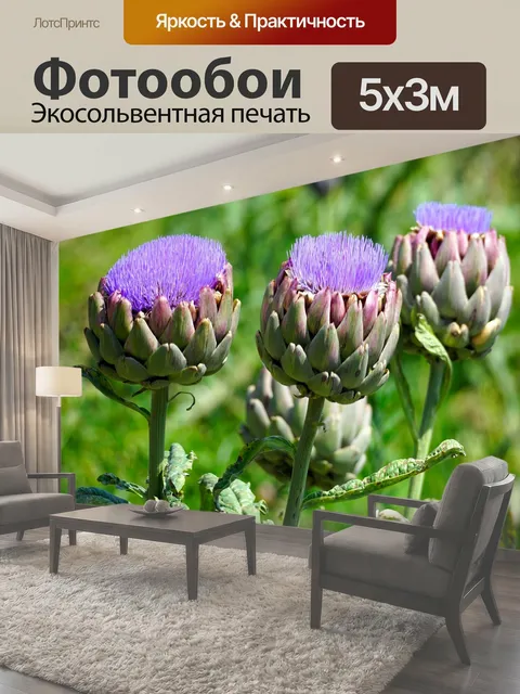 500 × 300 см · Экосольвентная печать