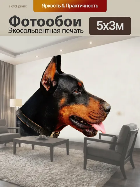 Фотообои Доберман, собака, домашний питомец