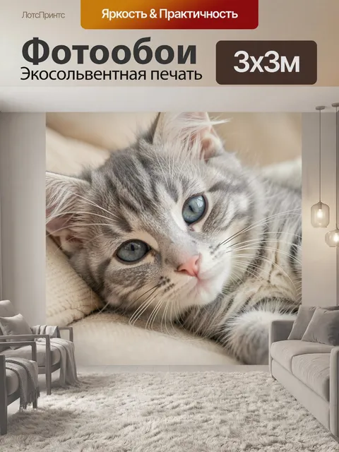 Фотообои Милый серый котёнок крупным планом