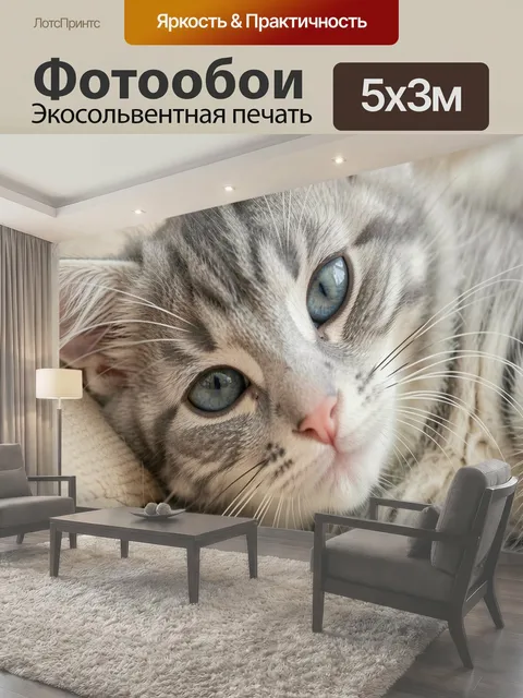 Фотообои Милый серый котёнок крупным планом