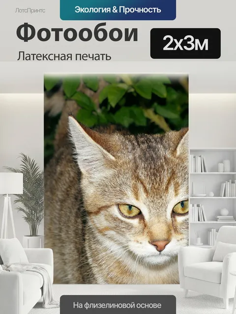 200 × 300 см · Латексная печать