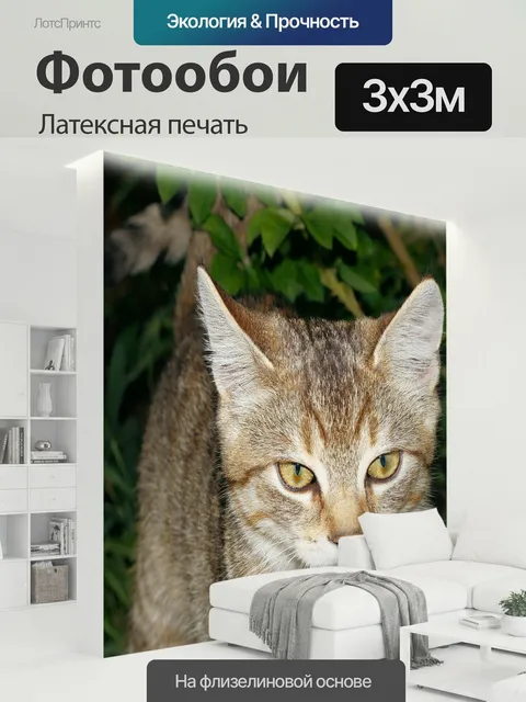 300 × 300 см · Латексная печать