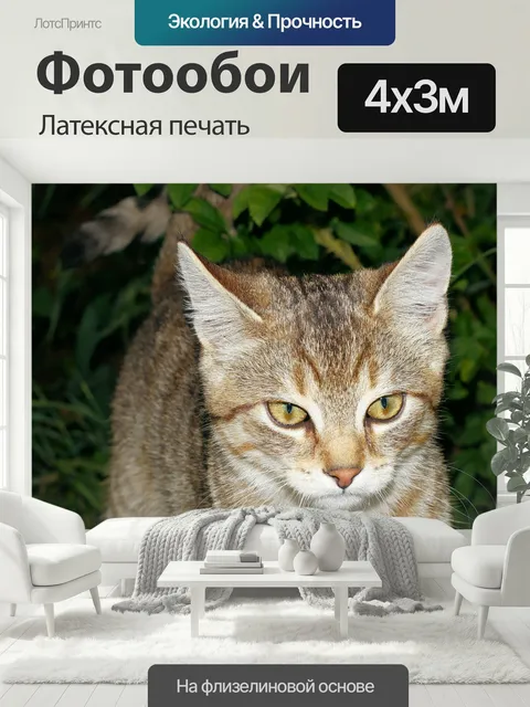 400 × 300 см · Латексная печать