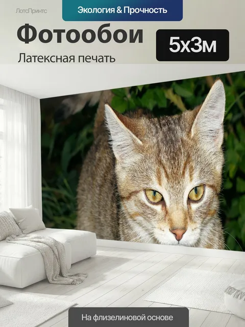 500 × 300 см · Латексная печать