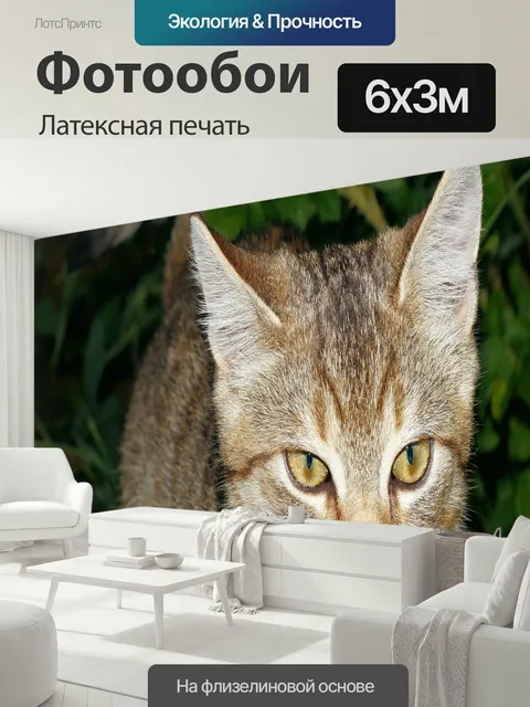 600 × 300 см · Латексная печать