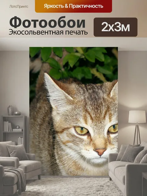 200 × 300 см · Экосольвентная печать