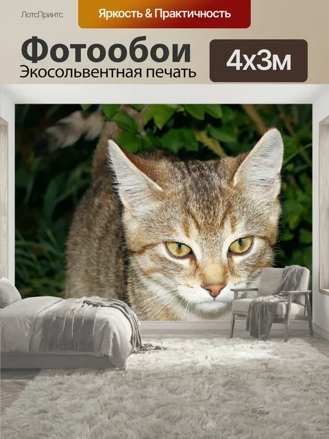 400 × 300 см · Экосольвентная печать