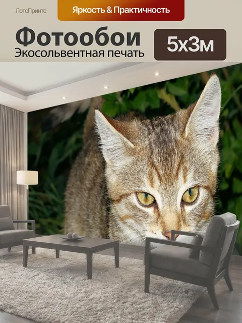 500 × 300 см · Экосольвентная печать