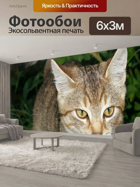 600 × 300 см · Экосольвентная печать