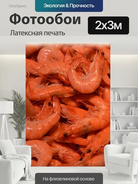 200 × 300 см · Латексная печать