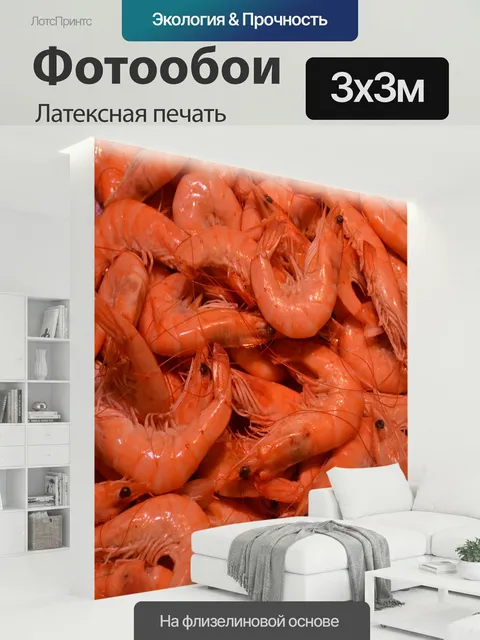 300 × 300 см · Латексная печать