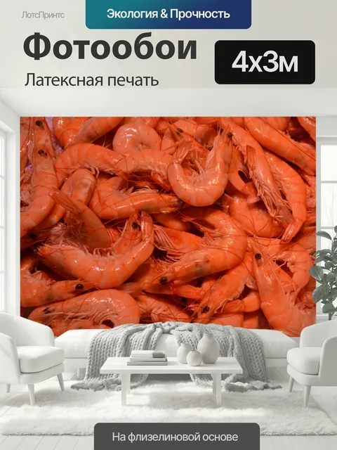 400 × 300 см · Латексная печать