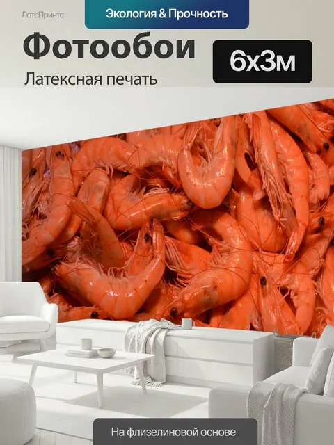 600 × 300 см · Латексная печать