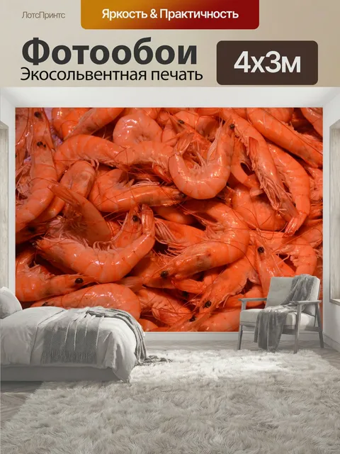 400 × 300 см · Экосольвентная печать