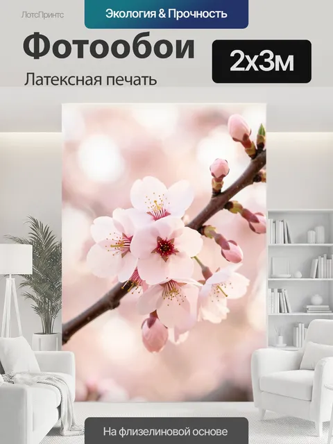 200 × 300 см · Латексная печать