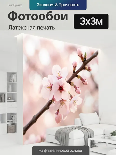 300 × 300 см · Латексная печать