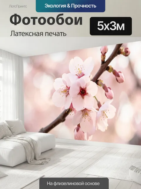 500 × 300 см · Латексная печать