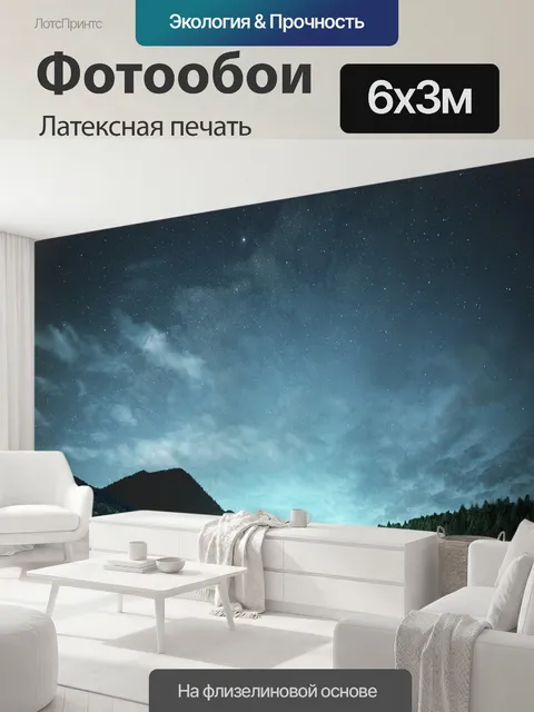 600 × 300 см · Латексная печать