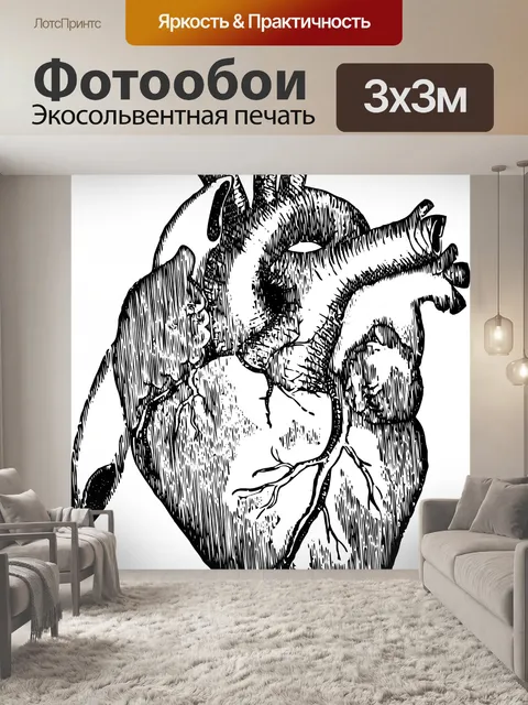 Фотообои Сердце человека Re оцифрованного старинных публичного домена иллюстрации черно-белый человеческого сердца