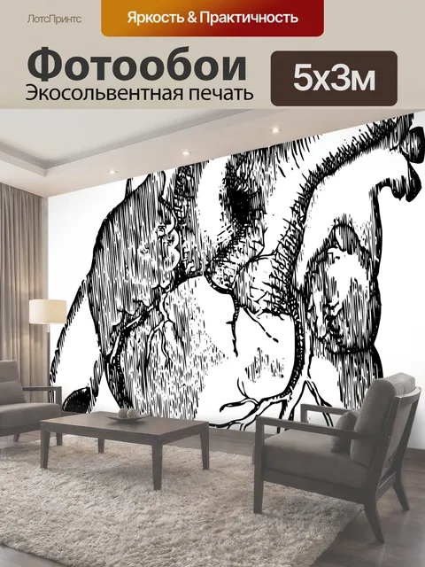 Фотообои Сердце человека Re оцифрованного старинных публичного домена иллюстрации черно-белый человеческого сердца