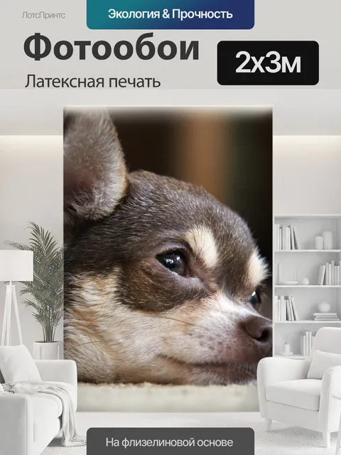 200 × 300 см · Латексная печать